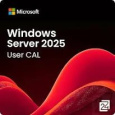 Windows Server 2025 CAL (10 User)