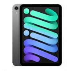 iPad mini Wi-Fi 256GB Kozmický sivý (2024)