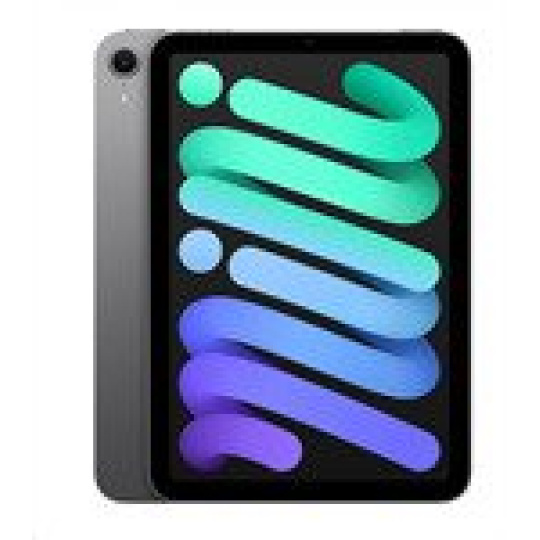 iPad mini Wi-Fi 256GB Kozmický sivý (2024)