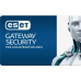 Predĺženie ESET Gateway Security for Linux/BSD/Solaris 11PC-25PC / 1 rok