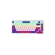 Lorgar KBA4175WH, mechanická herná klávesnica, 82 klávesov, Toxic Purple Switch, Hot-Swap, RGB, USB-C