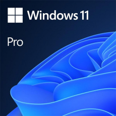 Microsoft OEM Windows 11 Pro  64Bit English 1pk DVD