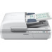 Epson skener WorkForce DS-7500, A4, USB, ADF, duplex