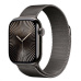 Apple Watch Series 10 GPS + Cellular 46mm Slate Titanium Case with Slate Milanese Loop - S/M