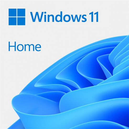 OEM Windows Home 11  64Bit Slovak 1pk DSP OEI DVD