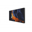 PHILIPS 55BDL6002H/00 55" 139 16:9 1920x1080 4000:1 -
