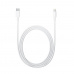 Apple Lightning to USB-C Cable (1 m)