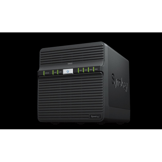 Synology™ DiskStation DS423