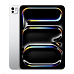 iPad Pro 11" Wi-Fi + Cellular 2TB štandardné sklo - Strieborný (2025)