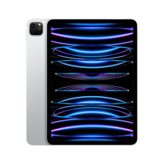 iPad Pro 11" Wi-Fi + Cellular 2TB - Silver (2022)