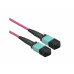 Value Fiber kábel MPO-MPO, 5m Duplex OM4(50/125µm), LSOH, 4.5mm, Trunk, fialový