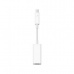 Apple Thunderbolt to Firewire Adapter