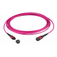 Optický kábel MTP-MTP, 10m Duplex OM4(50/125µm), LSOH, 3mm, Trunk Cable, fialový Typ-B