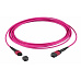 Optický kábel MTP-MTP, 10m Duplex OM4(50/125µm), LSOH, 3mm, Trunk Cable, fialový Typ-B