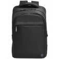 HP Prof 17.3 Laptop Bckpck