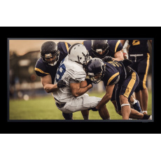Samsung BH65T-G 65" 3840x2160 1500cd, HDMI USB Wifi BT TV tuner Outdoor TV (IP55) Samsung BH65T-G 65" 3840x2160 1500cd, HDMI USB Wifi BT TV tuner Outdoor TV (IP55)